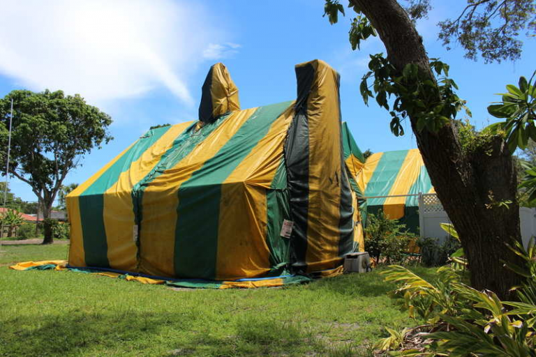 Why Tent Fumigation Is So Effective - The Espy